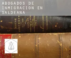 Abogados de inmigración en Saldeana