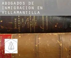 Abogados de inmigración en  Villamantilla