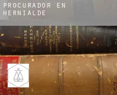 Procurador en  Hernialde