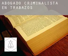 Abogado criminalista en  Trabazos