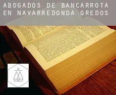 Abogados de bancarrota en Navarredonda de Gredos