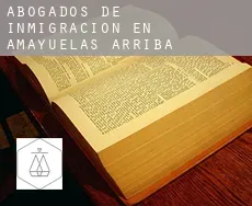Abogados de inmigración en  Amayuelas de Arriba
