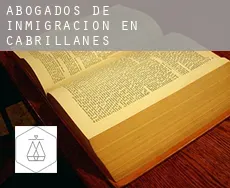 Abogados de inmigración en  Cabrillanes