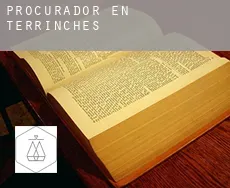 Procurador en  Terrinches