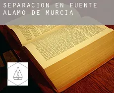 Separación en Fuente Álamo de Murcia