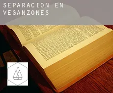 Separación en  Veganzones