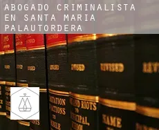 Abogado criminalista en  Santa Maria de Palautordera