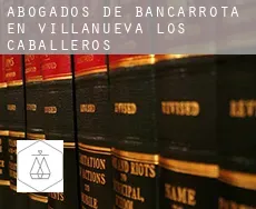 Abogados de bancarrota en  Villanueva de los Caballeros