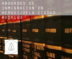 Abogados de inmigración en  Herguijuela de Ciudad Rodrigo
