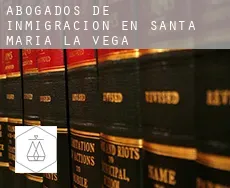 Abogados de inmigración en  Santa María de la Vega