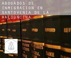 Abogados de inmigración en  Santovenia de la Valdoncina