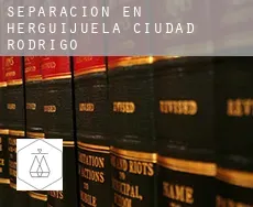 Separación en Herguijuela de Ciudad Rodrigo