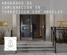 Abogados de inmigración en  Torrecilla de los Ángeles