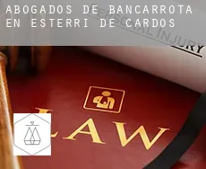 Abogados de bancarrota en  Esterri de Cardós