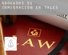 Abogados de inmigración en  Tales