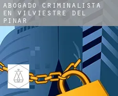 Abogado criminalista en  Vilviestre del Pinar