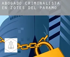 Abogado criminalista en  Zotes del Páramo
