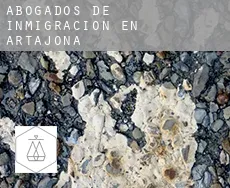 Abogados de inmigración en  Artajona