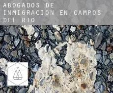 Abogados de inmigración en Campos del Río