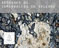 Abogados de inmigración en  Galende