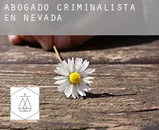 Abogado criminalista en  Nevada