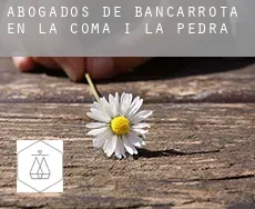 Abogados de bancarrota en  la Coma i la Pedra
