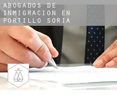 Abogados de inmigración en  Portillo de Soria