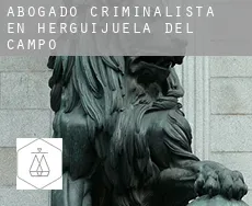 Abogado criminalista en  Herguijuela del Campo