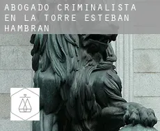 Abogado criminalista en  La Torre de Esteban Hambrán
