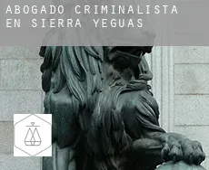Abogado criminalista en  Sierra de Yeguas