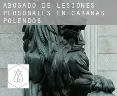 Abogado de lesiones personales en  Cabañas de Polendos