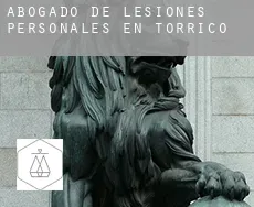 Abogado de lesiones personales en  Torrico