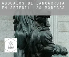 Abogados de bancarrota en  Setenil de las Bodegas