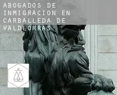 Abogados de inmigración en  Carballeda de Valdeorras