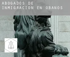 Abogados de inmigración en  Obanos