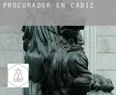 Procurador en  Cádiz