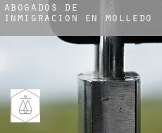 Abogados de inmigración en  Molledo