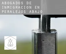 Abogados de inmigración en  Peralejos de Abajo