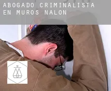Abogado criminalista en  Muros de Nalón