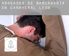 Abogados de bancarrota en  Cañaveral de León