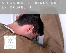 Abogados de bancarrota en  Rabanera
