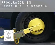 Procurador en Carbajosa de la Sagrada