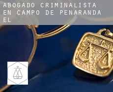 Abogado criminalista en Campo de Peñaranda (El)
