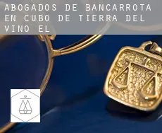 Abogados de bancarrota en  Cubo de Tierra del Vino (El)