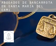Abogados de bancarrota en  Santa Maria del Camí