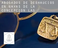 Abogados de deshaucios en  Navas de la Concepción (Las)