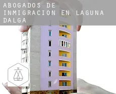 Abogados de inmigración en  Laguna Dalga