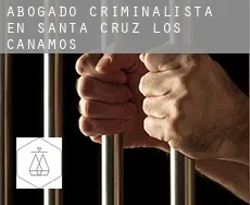 Abogado criminalista en  Santa Cruz de los Cáñamos