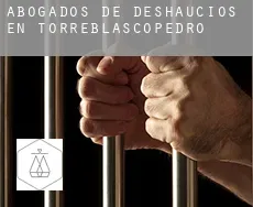 Abogados de deshaucios en  Torreblascopedro