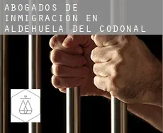 Abogados de inmigración en  Aldehuela del Codonal